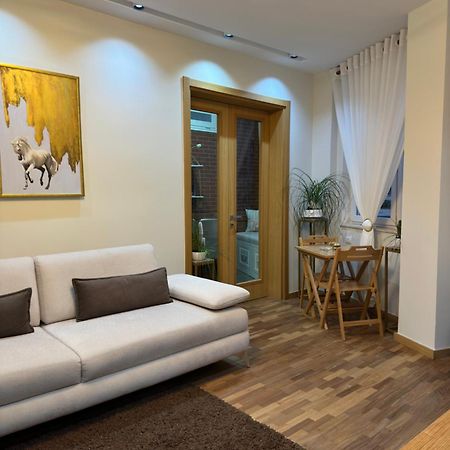 Dry Lake Apartment Tirana Extérieur photo